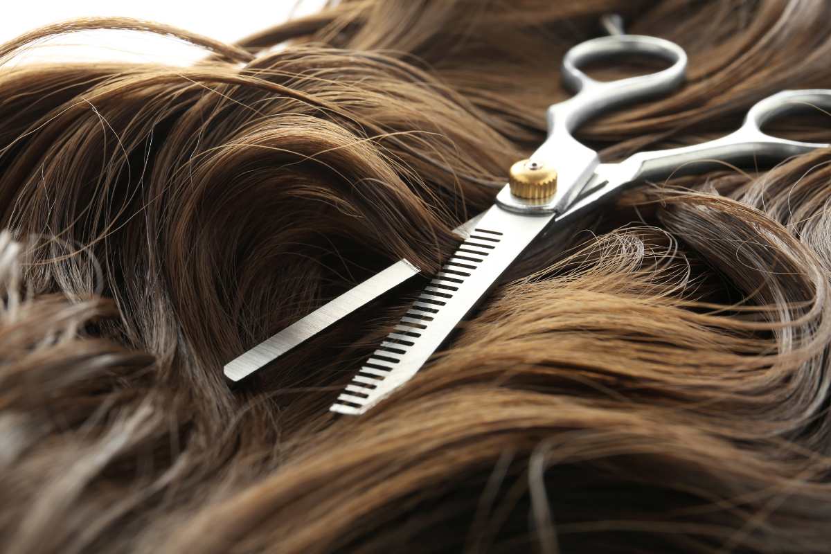 A hairdresser trimming the hair of their clients with scissors